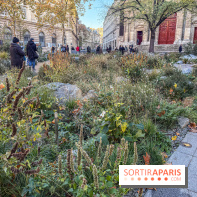 Jardin mémoriel du 13 novembre 2015 - Jardin du Souvenir - nos photos - IMG 1814