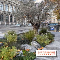 Jardin mémoriel du 13 novembre 2015 - Jardin du Souvenir - nos photos - IMG 1835