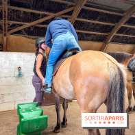 Balade en chevaux Henson en forêt de Fontainebleau