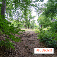 L'Hippodrome de la Solle à Fontainebleau - photos - A7C02777