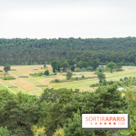 L'Hippodrome de la Solle à Fontainebleau - photos - A7C02779