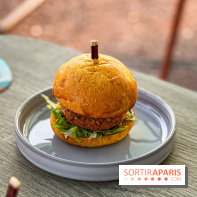 Bar Les Ombres : cocktails & tapas sur le rooftop du Musée du Quai Branly avec vue sur la tour Eiffel - IMG 8121