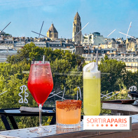 Bar Les Ombres : cocktails & tapas sur le rooftop du Musée du Quai Branly avec vue sur la tour Eiffel - IMG 4138 jpg