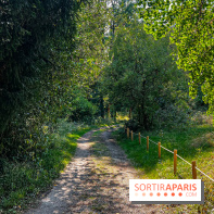 Parc de la Roseraie Châtenay - IMG 4428 jpg