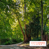 Parc de la Roseraie Châtenay