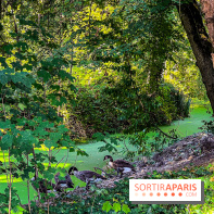 Parc de la Roseraie à Chatenay Malabry (92) : 8 hectares de verdure classés Monument Historique