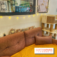 Chat-Rivari Café - IMG 4689