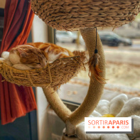 Chat-Rivari Café