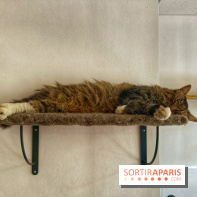 Chat-Rivari Café