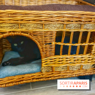 Chat-Rivari Café