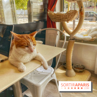 Chat-Rivari Café