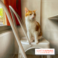 Chat-Rivari Café