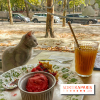 Chat-Rivari Café