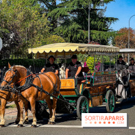 Tous en piste ! à Maisons-Laffitte (78): poneys, calèche et spectacles équestres gratuits au château - IMG 8078 jpg