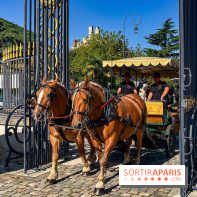 Tous en piste ! à Maisons-Laffitte (78): poneys, calèche et spectacles équestres gratuits au château - IMG 8081 jpg