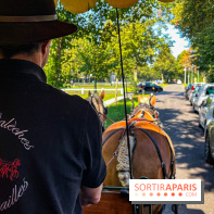 Tous en piste ! à Maisons-Laffitte (78): poneys, calèche et spectacles équestres gratuits au château