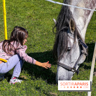 Tous en piste ! à Maisons-Laffitte (78): poneys, calèche et spectacles équestres gratuits au château - IMG 8256 jpg