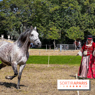 Tous en piste ! à Maisons-Laffitte (78): poneys, calèche et spectacles équestres gratuits au château - IMG 8323 jpg