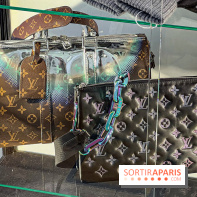 Exposition Louis Vuitton Cornette de Saint Cyr - IMG 8164 jpg