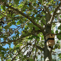 Fête de la science à l’Université Paris‑Nanterre - Oiseaux2