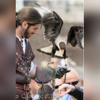 Les aigles des remparts