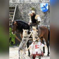 Les aigles des remparts