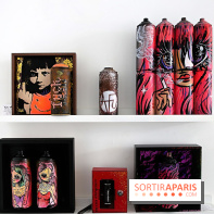 Les Bombasphères : nos photos de l'expo de street art à la Lab Galerie à Paris19