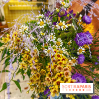 Les filles d'à côté - IMG 5233