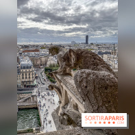 Visite des tours de Notre-Dame de Paris