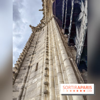 Visite des tours de Notre-Dame de Paris