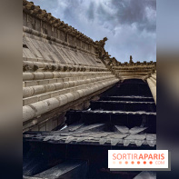 Visite des tours de Notre-Dame de Paris