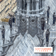 Visite des tours de Notre-Dame de Paris