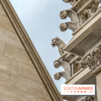 Visite des tours de Notre-Dame de Paris