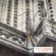 Visite des tours de Notre-Dame de Paris