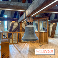 Visite des tours de Notre-Dame de Paris