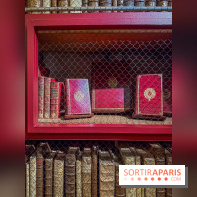 Exposition “Excellences !” à la Bibliothèque Choiseul de Versailles - IMG 7566