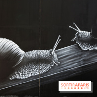 Festival de street art d'Antony 2025, nos photos 