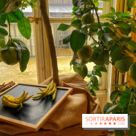 L'art des parfumeurs - IMG 5548