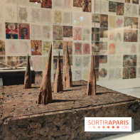 Amazônia au musée du quai Branly : l'exposition au cœur des cultures autochtones se dévoile - fotor 1759145877178