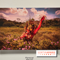 Amazônia au musée du quai Branly : l'exposition au cœur des cultures autochtones se dévoile - fotor 1759145919311