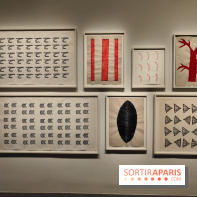 Amazônia au musée du quai Branly : l'exposition au cœur des cultures autochtones se dévoile - fotor 1759145959748