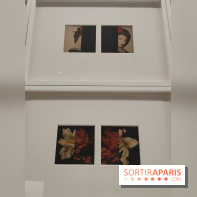 Polaraki, mille polaroids d'Araki Nobuyoshi : l'exposition du musée Guimet se dévoile - fotor 1759249641214