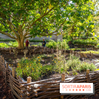 Le brunch à volonté de l'Abbaye de Royaumont - A7C08415