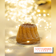 la Bûche de Noêl du Mandarin Oriental Lutetia aux Lumières de Paris