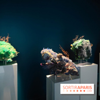 Voir la mer : une exposition gratuite qui montre un monde chaviré au Maif Social Club