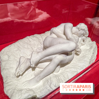 L’Empire du Sommeil : quand le rêve s’expose au Musée Marmottan Monet - IMG 8987