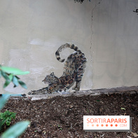 Ardif : nos photos de son exposition 'Felines Mechanimal' 