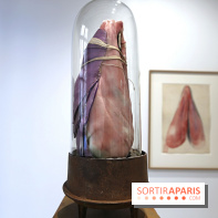 Berlinde De Bruyckere : nos photos de son exposition 'Need' à la Galleria Continua 