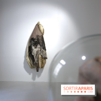 Berlinde De Bruyckere : nos photos de son exposition 'Need' à la Galleria Continua 