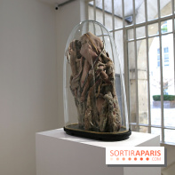 Berlinde De Bruyckere : nos photos de son exposition 'Need' à la Galleria Continua otor 2025100916310